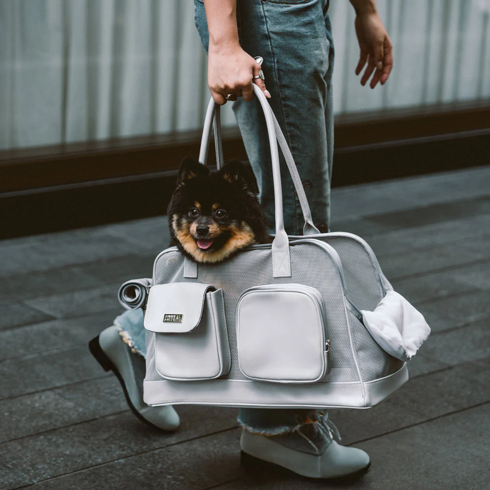 Lightweight Breathable Mesh Safe Pet Carrier - Urban Ease - News Pet Shop