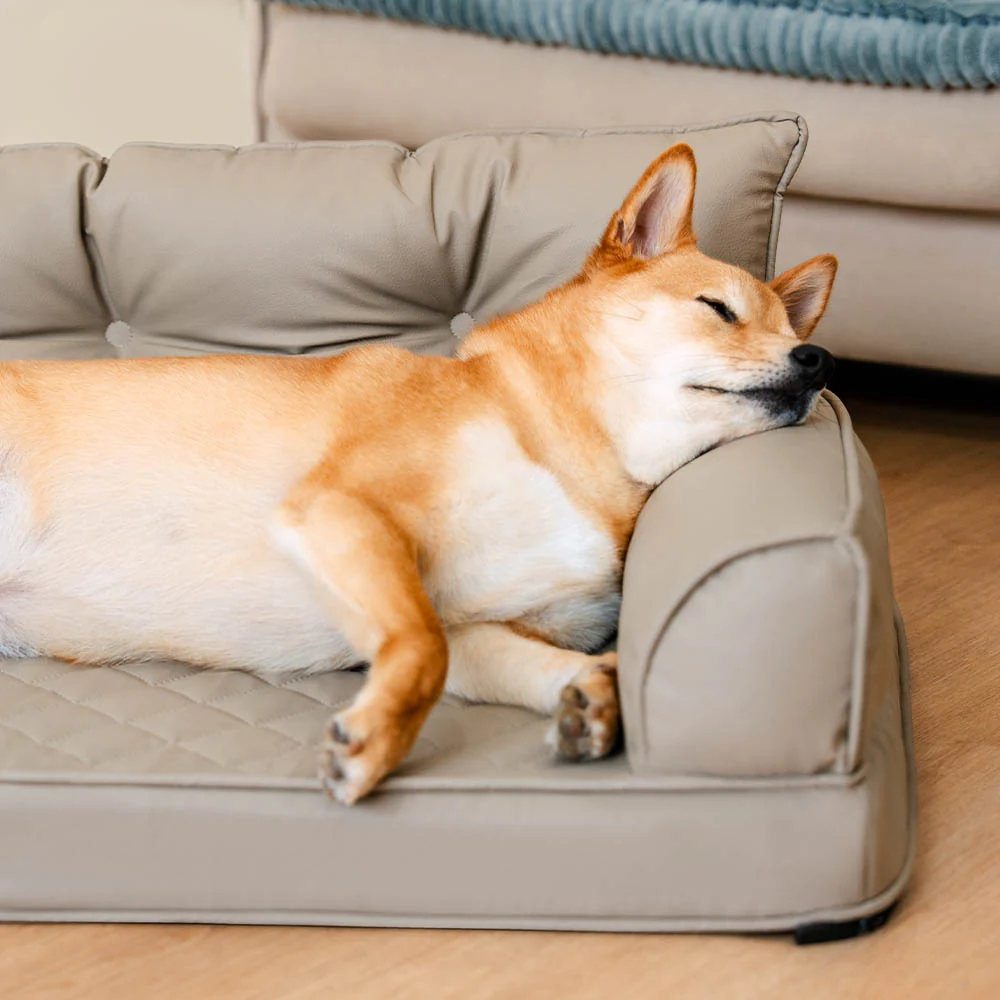 Luxe Faux Leather Foldable Orthopedic Large Dog Bed - CoreLounge - News Pet Shop