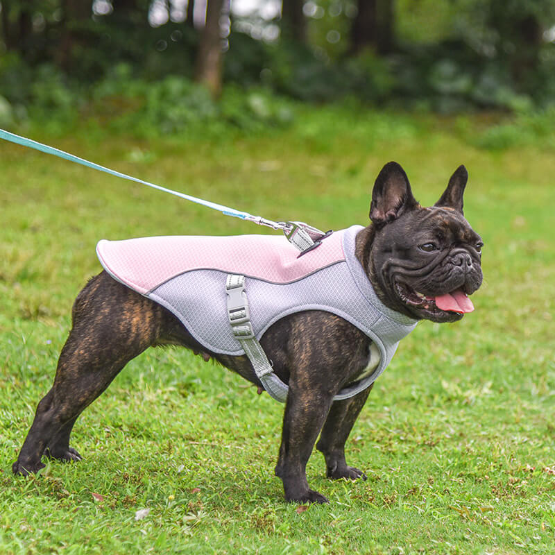 Breathable Vest For Sunstroke Prevention Water-soakable Dog Cooling Vest - News Pet Shop