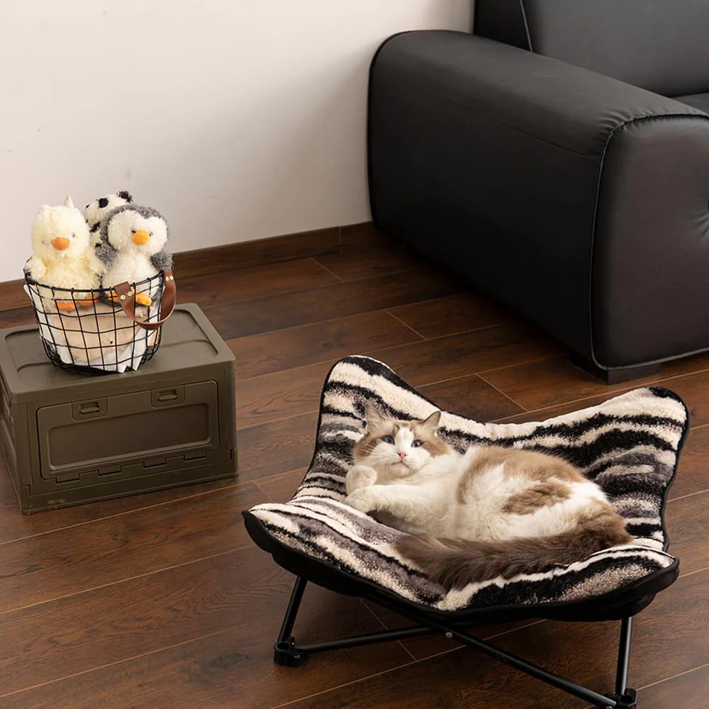 Foldable Elevated Portable Outdoor Camping Dog & Cat Bed - News Pet Shop