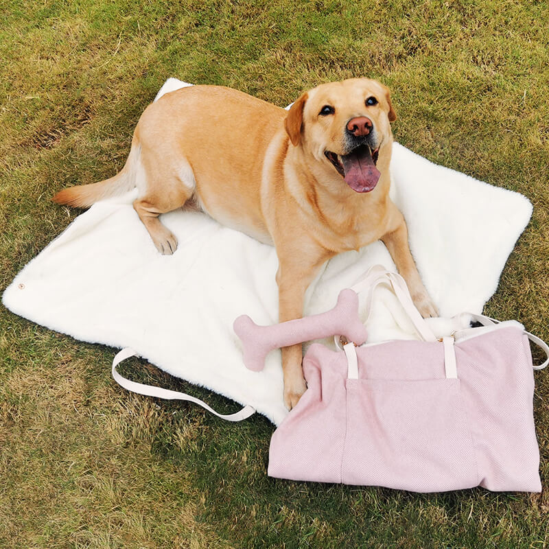 Portable Dog Mat - News Pet Shop
