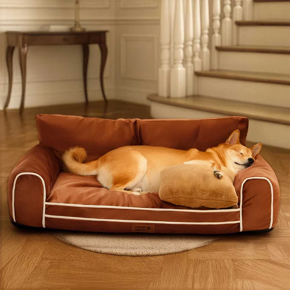 Deluxe Silk Velvet Removable Bolster Orthopedic Dog Bed With Pillow - RegalRest - News Pet Shop