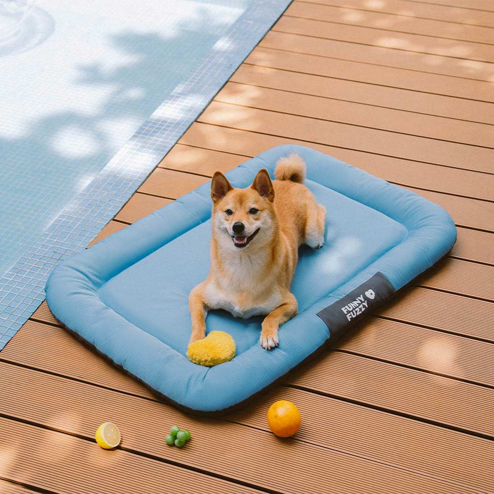 Outdoor Waterproof    Chew-proof Memory Foam Orthopedic Dog Mat - Trek Lounge - News Pet Shop
