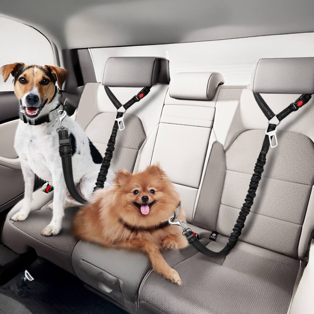 Dog Car Seat Belt for Vehicle Headrest - News Pet Shop