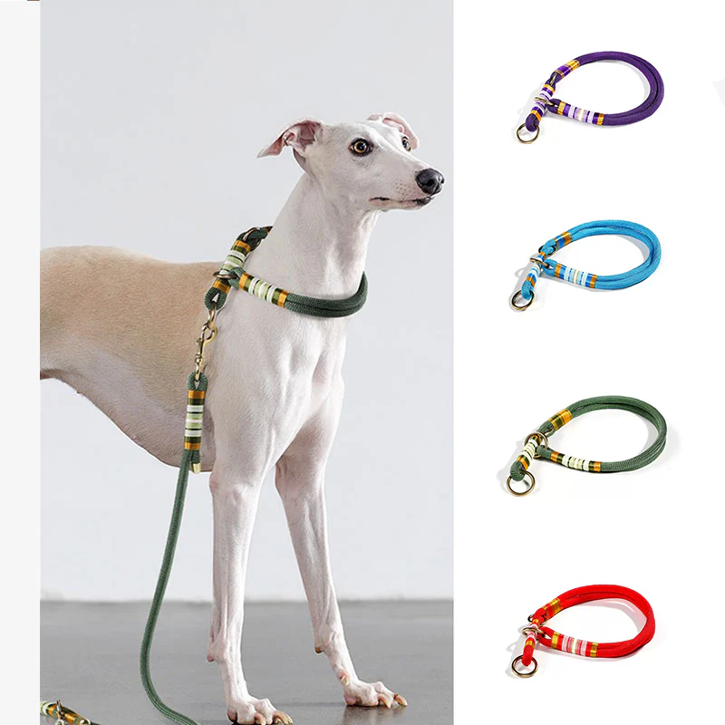 Hand-knitted Braided Rope No Pull Cool Dog Accessories Training Collar - News Pet Shop